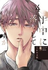 Shuchuu ni Otoshite Ii desu ka Manga