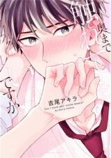 Oku Made Furete mo Ii desu ka Manga