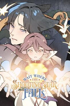Wait Where the Shooting Star Falls Manhwa