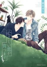 Yasashii Koi ga Sodatsu Made Manga