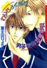 Warito Yokuaru Danshikouteki Renaijijou Manga