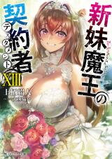 Shinmai Maou no Testament (Novel) Novel