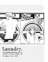 Laundry Manga