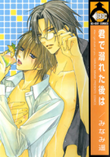 Kimi de Oboreta Ato wa Manga