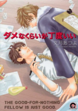Dame na Kurai ga Choudoii Manga