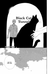 Black Cat Tunnel Manga