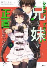 Siscon Ani to Brocon Imouto ga Shoujiki ni Nattara Manga