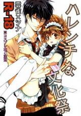 Katekyo Hitman Reborn! dj - Harenchi na Bunkasai Doujinshi
