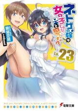 Netoge no Yome wa Onnanoko ja Nai to Omotta? (Novel) Novel