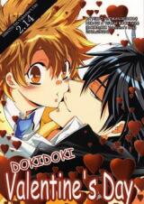 Katekyo Hitman Reborn! dj - Dokidoki Valentine's Day Doujinshi
