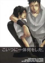 Katekyo Hitman Reborn! dj - Koitsu ni Ittai Nani o Shita Doujinshi