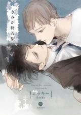 Kimi ga Shuuchakueki Manga