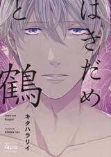 Hakidame to Tsuru Manga