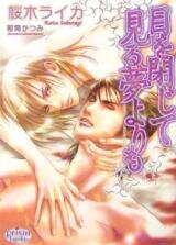 Better Than a Dream (Novel) Novel