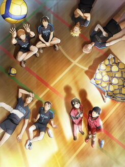 2.43: Seiin Koukou Danshi Volley Bu