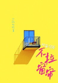 My Neighbor did not Close his Curtains