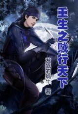 Rebirth of the Thief Who Roamed the World (Novel)