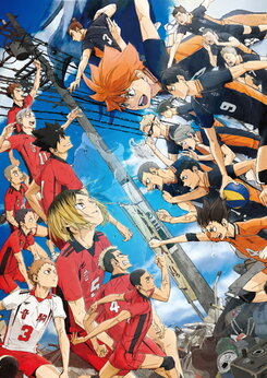 Gekijouban Haikyuu!! Final